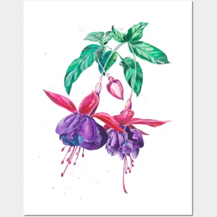 Fuchsia Posters and Art